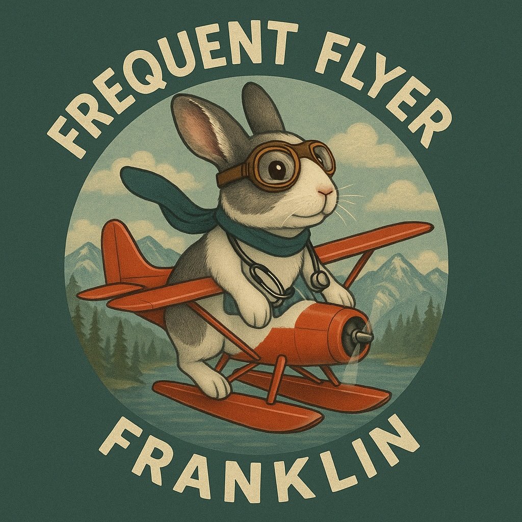 Frequent Flyer Franklin